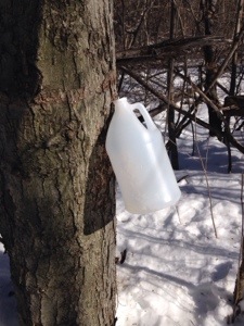 Yankee ingenuity: making due with materials at hand.